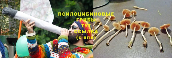 амфетамин Богородицк